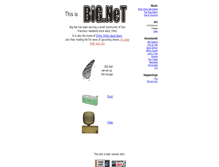Tablet Screenshot of big.net